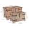 Household Essentials Hinge Decorative Trunk (Set of 2)